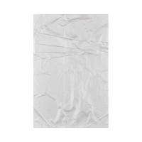 Фасовочный пакет ООО Комус пнд, 24x37, 10 мкм, 1000 штук в упаковке 16408