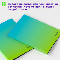 Папка на 4 кольцах BERLINGO Radiance 24 мм, 600 мкм, D-кольца, с внутренним карманом, голубой/зеленый RB4_4D003