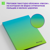 Папка на 4 кольцах BERLINGO Radiance 24 мм, 600 мкм, D-кольца, с внутренним карманом, голубой/зеленый RB4_4D003