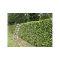 Лестница MEGAL садовая с откидной опорой - ЛСАСОО - 2,4 373024