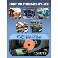 Круг абразивный шлифовальный (125 мм; 60) Forsage 49511 F-BD560D