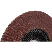 Круг лепестковый абразивный торцевой (150x22.2 мм; Р100) ДИОЛД 90242009