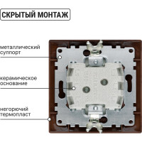 1-клавишный выключатель TDM ELECTRIC 10А ЭКО бук Таймыр SQ1814-0301