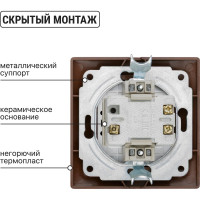2-клавишный выключатель TDM ELECTRIC 10А ЭКО бук Таймыр SQ1814-0302