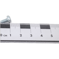 Резьбовыдавливающий винт ЦКИ DIN 7500C, М4x8, Ц, TX20, 200 шт. 32836