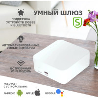 Шлюз для умного дома SECURIC Wi-Fi, ZigBee, BT, Алиса SEC-GT-101
