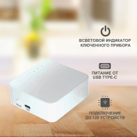 Шлюз для умного дома SECURIC Wi-Fi, ZigBee, BT, Алиса SEC-GT-101