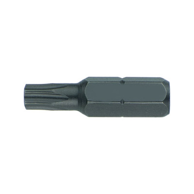 Вставка (бита) торцевая 10 мм HONITON, TORX Т45 BT-A10T45 В0000000188321