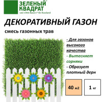Семена газона Зеленый Квадрат Декоративный 1 кг для создания устойчивых газонов для игр и отдыха 4607160331171