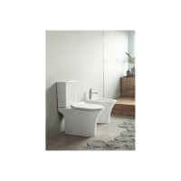 Напольный унитаз-компакт Cerutti SPA BERNINA с бачком, 665х345х770, безободковый 7193