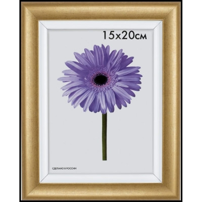 ООО Изометрика Рамка пласт. Gella 40x50см золото 0079-16-0547