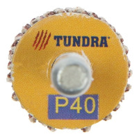 ТУНДРА Круг лепестковый радиальный, 20 х 20 х 6 мм, Р40 5162345
