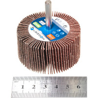 Круг шлифовальный лепестковый радиальный (60x30 мм; хвостовик 6 мм; P120) Hogert Technik HT8D014