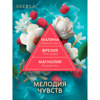 Декоративный ароматизатор Breesal Arome Fleur Мелодия чувств B/D20173