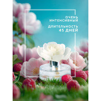 Декоративный ароматизатор Breesal Arome Fleur Мелодия чувств B/D20173