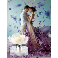 Декоративный ароматизатор Breesal Arome Fleur Мелодия чувств B/D20173