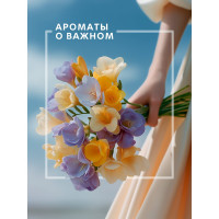 Декоративный ароматизатор Breesal Arome Fleur Мелодия чувств B/D20173