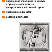 Звонок дверной (кнопка) с подсветкой скрытой установки, серый TDM ELECTRIC IP54 6A серия "Вуокса" SQ1803-0107