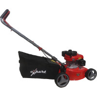 Несамоходная бензиновая газонокосилка Expert-bis L41Р 263227