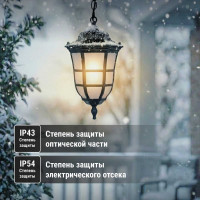 Светильник уличный TDM ELECTRIC "Меридиан" 100 Вт, подвес, матовое/черный, Е27 SQ0330-0098
