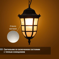 Светильник уличный TDM ELECTRIC "Меридиан" 100 Вт, подвес, матовое/черный, Е27 SQ0330-0098