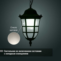 Светильник уличный TDM ELECTRIC "Меридиан" 100 Вт, подвес, матовое/черный, Е27 SQ0330-0098