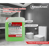 Кислотное моющее средство для санузлов ООО "БАЗОВАЯ ДЕЗИНФЕКЦИЯ" АлмаКлин K01, жидкое, 5 л, евро канистра K01-М/П-5Л