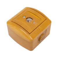 Компьютерная розетка Lezard NATA ольха 710-0700-139