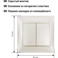 Выключатель на 2 направления 2 клавишный TDM ELECTRIC 10А перламутр серия "Лама" SQ1815-0807