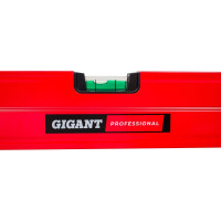 Gigant Professional Уровень алюминиевый магнитный, 600 мм, 3 глазка, фрезерованный GPGW-60-1