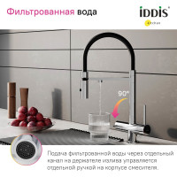 IDDIS Смеситель для кухни с фильтром и гибким изливом хром ace ACESBFFi05