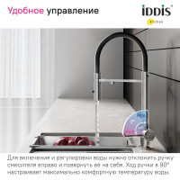 IDDIS Смеситель для кухни с фильтром и гибким изливом хром ace ACESBFFi05