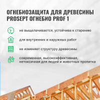 Огнебиозащита для древесины PROSEPT ОГНЕБИО PROF 1 10 л 007-10бц