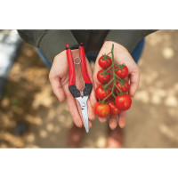 Садовые ножницы FELCO F322