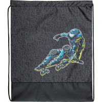 Мешок для обуви Пифагор Space skater 1 отделение, 42x34 см 270907