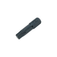 Биты TORX TХ30, 25 мм, 20 шт RAWLPLUG RT-BIT-TORX30/25