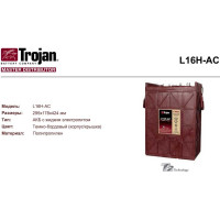 Аккумуляторная батарея Trojan 6в 435Ач (комплект 4 шт) L16H-AC