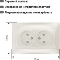 Розетка двойная с защитными шторками 10А 250В перламутр серия "Лама" TDM ELECTRIC SQ1815-0812