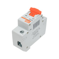 Автоматический выключатель TDM ELECTRIC ВА47-100 1Р 10А 10кА D SQ0207-0001