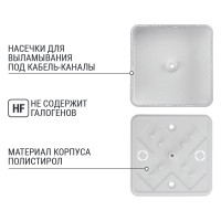 Коробка распределительная TDM ELECTRIC 75х75х20 ОП белая IP40 упаковка 10 штук SQ1401-0203