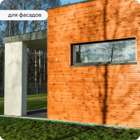 Водоотталкивающая пропитка Elcon Bio Lasure для защиты дерева до 15 лет, антисептик (осенний клен; 2 л) 00-00461949