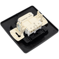 2-клавишный выключатель Systeme Electric Blanca внутренний, Антрацит, 10А, 250B SE BLNVS010506
