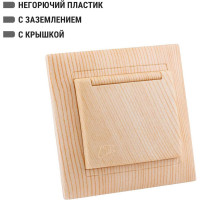 Розетка TDM ELECTRIC 2П+З 16А 250В IP44 с крышкой сосна серии "Лама" SQ1815-0326