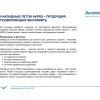 Накладная петля AVERS 125*75*2,5-B2-G 2 шт. 19901