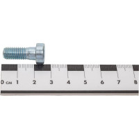 Винт ЦКИ DIN 6912 М8x20 8.8 Ц., 20 шт. 34336