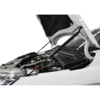 Газовые упоры капота АвтоУпор для Lada Xray 2015-н.в./Xray Cross 2018-н.в., 2 шт., ULAXRA011