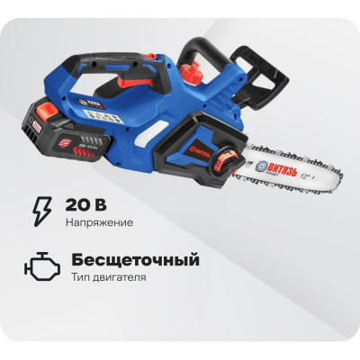 Аккумуляторная бесщеточная цепная пила Витязь ПЦ-А-320-12 Комплект 5А-2шт ЗУ 2,0С 18032001К