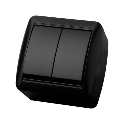 Выключатель 2 клавишный TDM ELECTRIC открытой установки IP44 10А графит "Селигер" SQ1818-0302