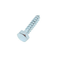 Сантехнический шуруп SWFS 10х50 мм, 2 шт., пакет тов-092745