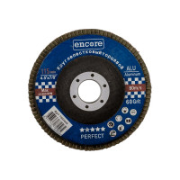 Круг лепестковый торцевой КЛТ1 115 мм, P60 TORGWIN T613609